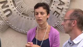 Steve Kay Council Comment - Unlearn Fear + Hate