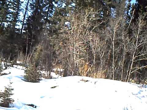 Monkman Provincial Park