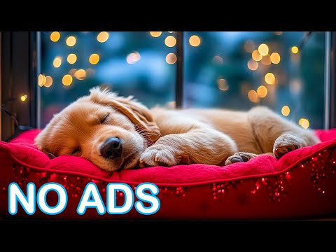 12 Hours Relaxed Music for Dogs 🪶 Smooth Gentle Soundscapes for Noise Stress for Dogs  🎶