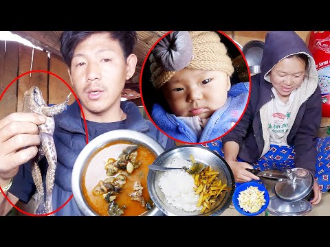 Toad curry at our  dinner || surya laxmi cooking recipe @suryalaxmivlogs