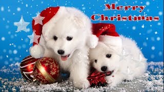Christmas Greeting Video : We Wish You A Merry Christmas