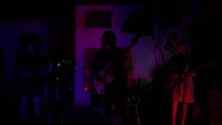 The Sellouts - Demirep - Bikini Kill Cover