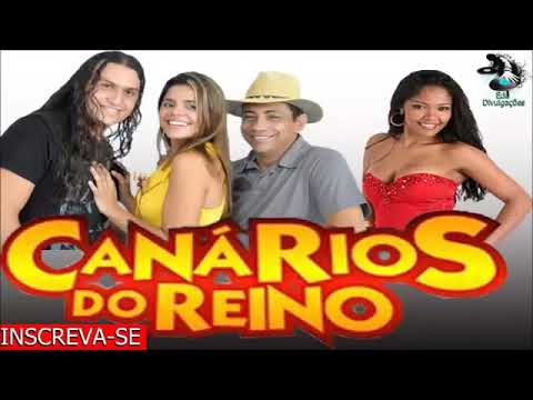 download lagu mp3 mp4 Forro Canario Do Reino, download lagu Forro Canario Do Reino gratis, unduh video klip Forro Canario Do Reino
