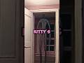 ️ What If A KID Enters KITTY S HOUSE In The BACKROOMS Backrooms Dreamcore Shorts