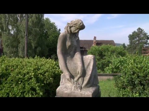 Náhled pro video reference