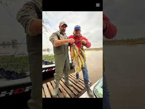 Video de Hotel Sauce Viejo