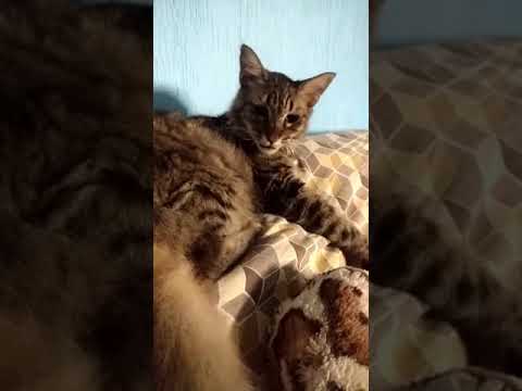 marichu chuyito vero