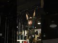 【生ける伝説BeastJoker】チンニング。体重108kg+20kgと+30kg。#チンニング #懸垂 #背中 #トレーニング #筋トレ