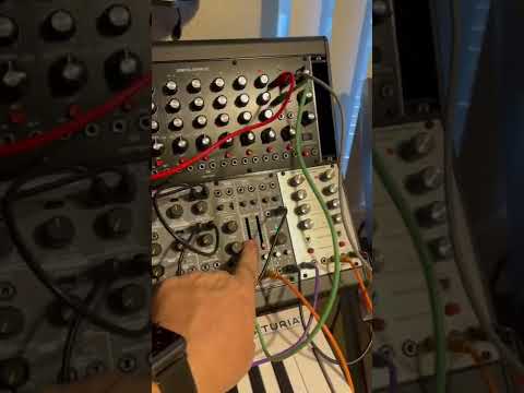Look! #Eurorack boops and bleeps!