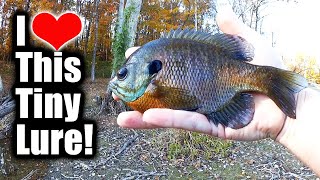 Fishing with the Smallest Gulp Fishing Lure! (GULP Euro Larvae)