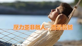 無壓生活的科學方法How to Live Without Stress