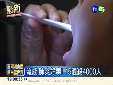 流感.肺炎好毒! 15週殺4000人