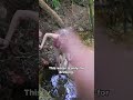 How We Pump Water Without Electricity