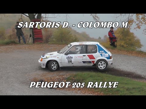 19° REVIVAL VALPANTENA 2021 | SARTORIS - COLOMBO | PEUGEOT 205 RALLYE | VIDEOCLIP BY BELLUNOVIDEO