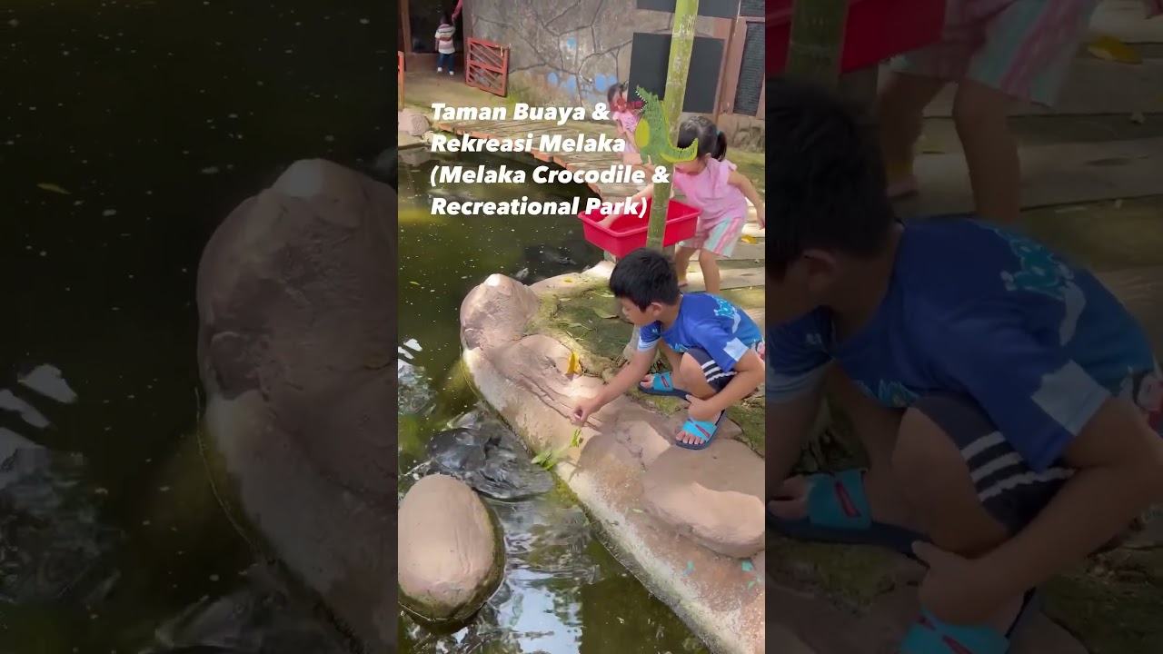 YouTube Short thumbnail