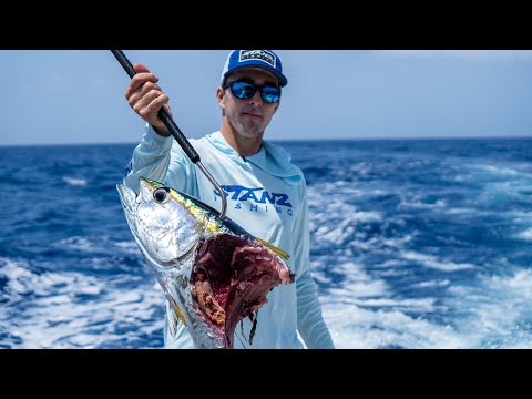 FIGHTING Yellowfin Tuna away from Sharks! Catch Clean Cook! Bahamas Day 3