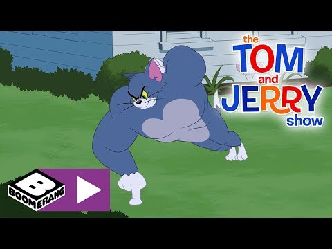 The Tom and Jerry Show | Tom The Gym Cat | Boomerang UK ????????