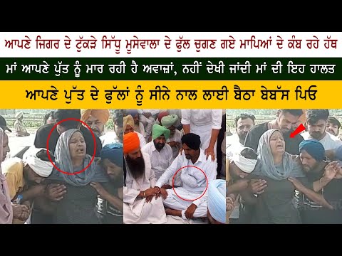 Heart Breaking : Sidhu Moose Wala Mother Charan Kaur Crying Heart Breaking : Sidhu Moose Wala Mother Charan Kaur Crying