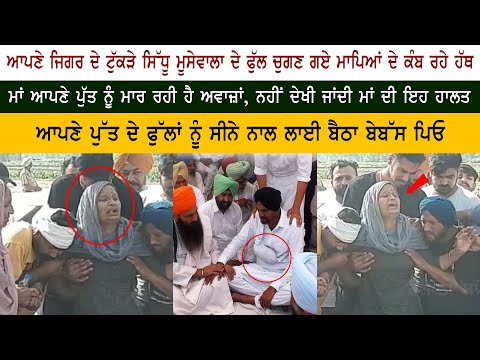 Heart Breaking : Sidhu Moose Wala Mother Charan Kaur Crying