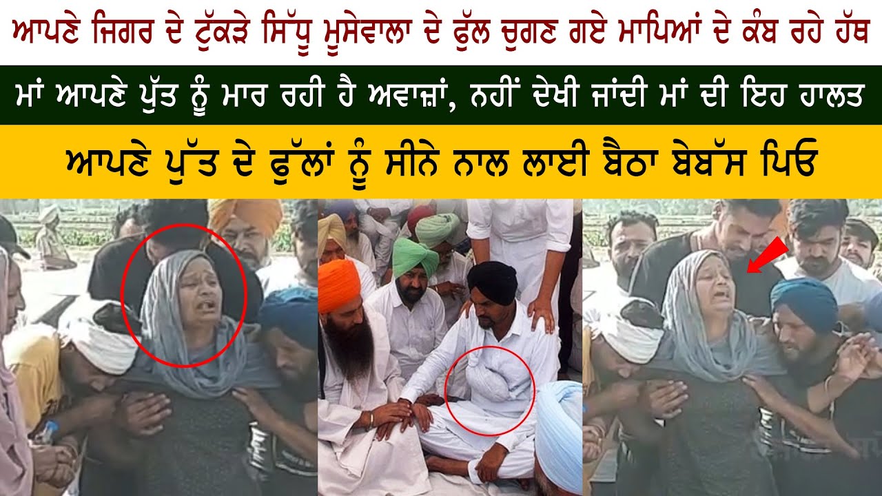 Heart Breaking : Sidhu Moose Wala Mother Charan Kaur Crying Heart Breaking : Sidhu Moose Wala Mother Charan Kaur Crying