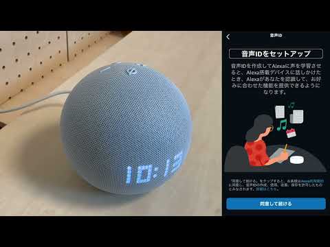 Alexa アプリのセットアップ: これらは最も重要な機能です