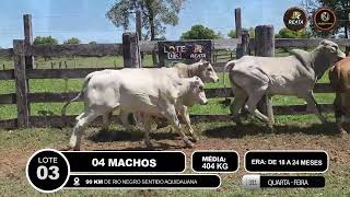 Vídeo LOTE 03
