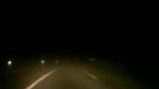 "the fox and the rabbit" in the fog