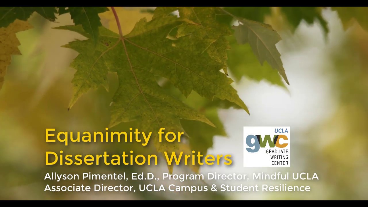 Equanimity for Dissertation Writers