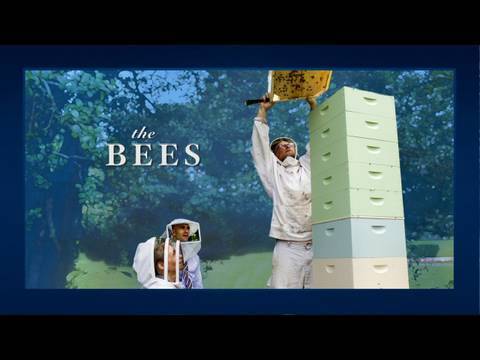 video:Inside The White House - Bees!