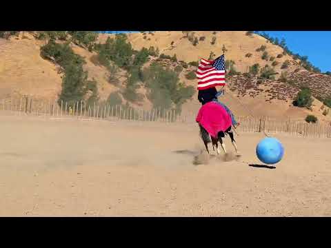 youtube preview