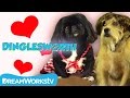 Doggy Dating DINGLESWORTH