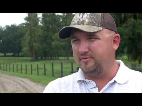 download lagu mp3 mp4 Venerate, download lagu Venerate gratis, unduh video klip Venerate