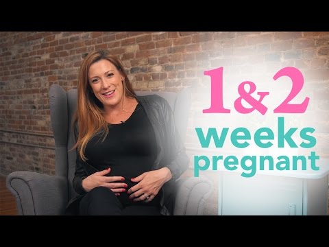 1, 2 Weeks Pregnant - Ovia Pregnancy