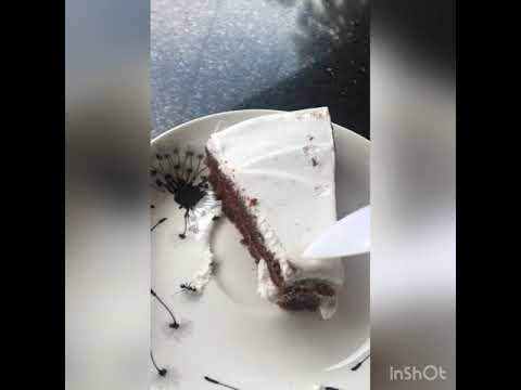 chocolate cake 🍰 ( cooking ) || Fella po ||