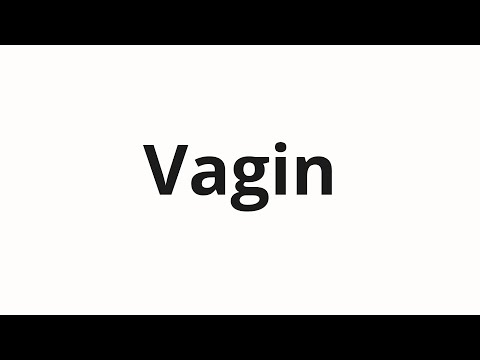 How to pronounce Vagin