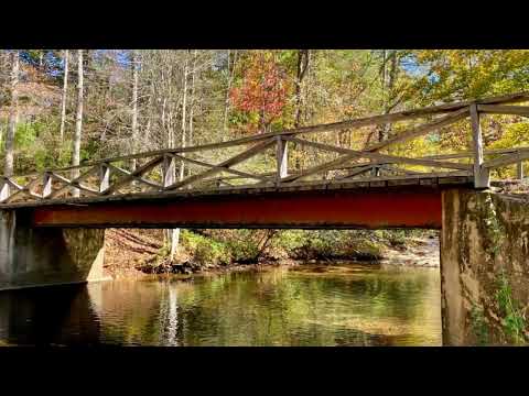 Chestnut Valley Fall 2022