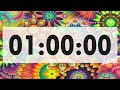 1 Hour Timer with Alarm 🔔 [NO MUSIC]