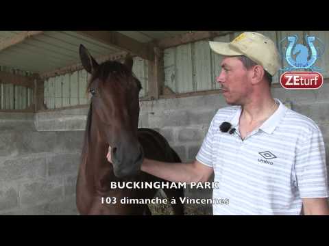 B.A. Nicolas RAIMBEAUX, bientôt sur A2TURF + info sur BUCKINGHAM PARK dimanche à Vincennes