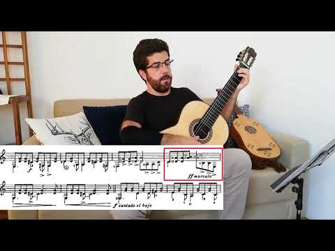 Brouwer: Estudio Sencillo n° 1 - Clase de Marcos Pablo Dalmacio