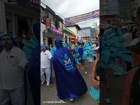 Desfile de comparsas. ferias y fiestas. San Vicente de chucuri. Santander. Colombia