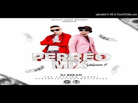 Perreo Mix By Dj Bekan The Fucking Senpai GMR