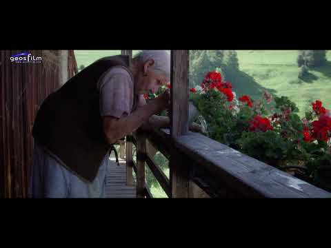 Nicht den Mut verlieren 2024 auf DVD & Bluray