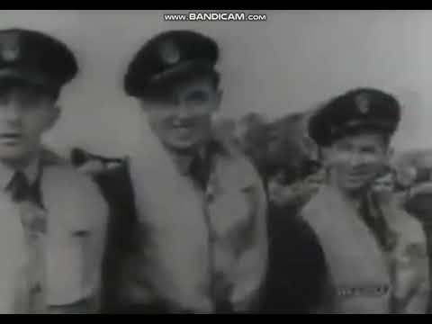 Honor - Krew i Honor