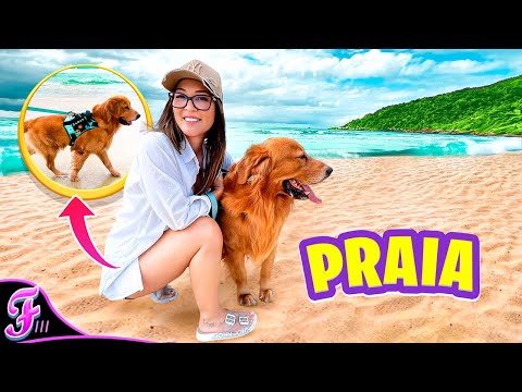 MY DOG LOVED THE BEACH! *there was a pool* - Fran Japa