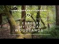 Exploring my local woodland | Landscape photography
