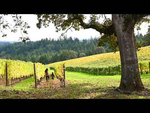 Kalita Vineyard Profile | Et Fille Wines