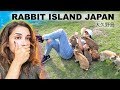 The Dark, Twisted Truth About Rabbit Island Japan