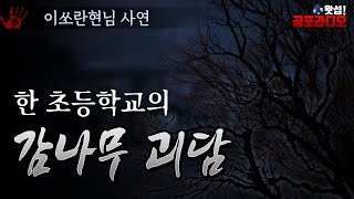 한 초등학교의 감나무 괴담｜왓섭! 공포라디오