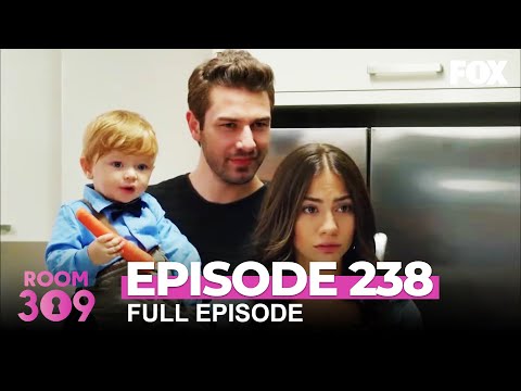 No. 309 Episode 238