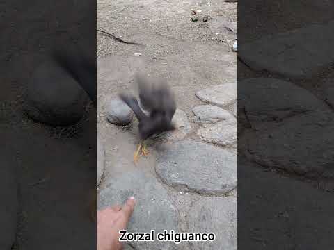 Los Molles.San Luis.Argentina.